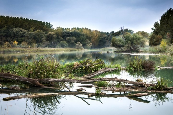 medioambiente